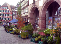 Stadt-Calw Marktplatz in Calw