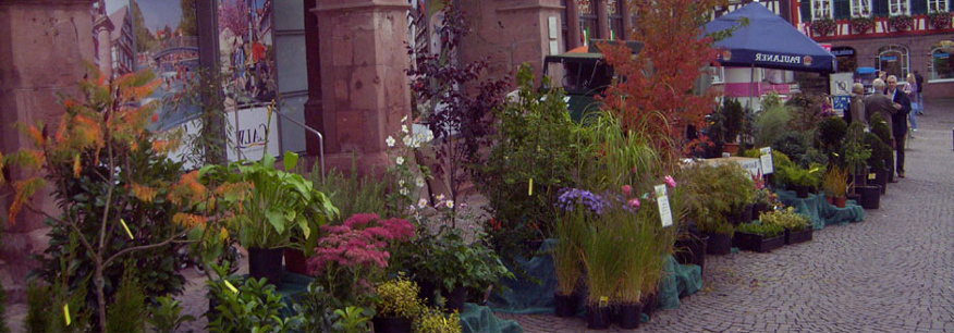 Calw - Die Hermann-Hesse- und Fachwerk-Stadt.