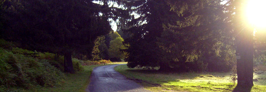 Hier geht es zur Städteseite von Aalen.