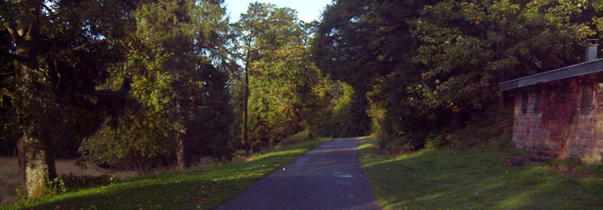 Hier geht es zur Städteseite von Hechingen.
